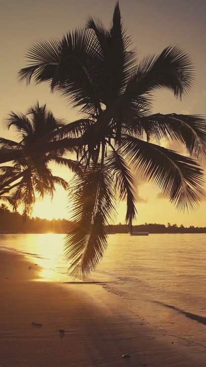 Escape Room for Kids at home : Great Outdoor Escape summer camp children party game - trailer video